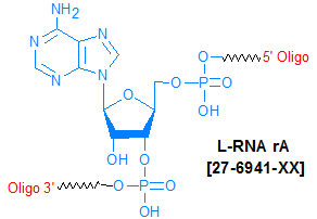picture of L-RNA Bases